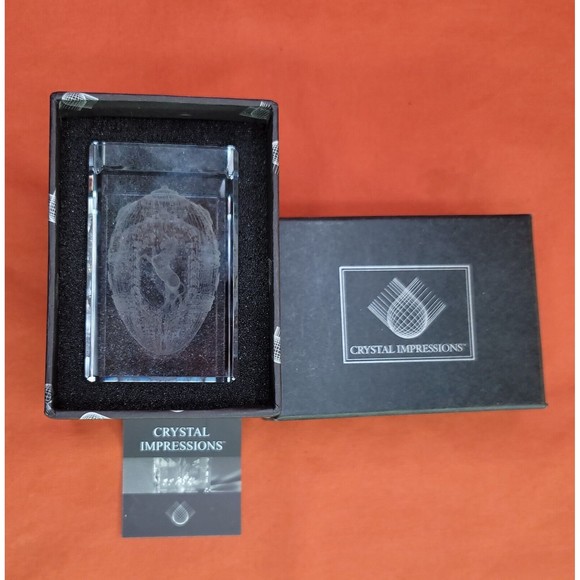 Faberge Crystal Glass Horse Inside Egg 3D Paperweight Laser Etched Israel Made - Picture 8 of 10